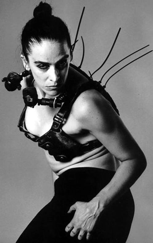 insektam-1.jpg
