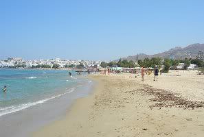 L_paralia.jpg