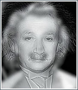 einstain-monroe.jpg