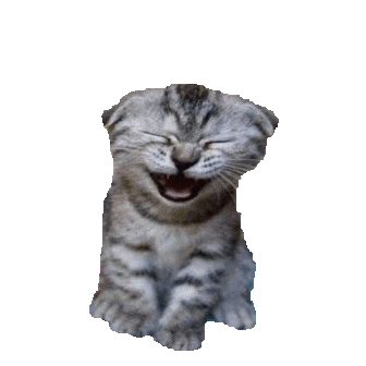 giphy.gif