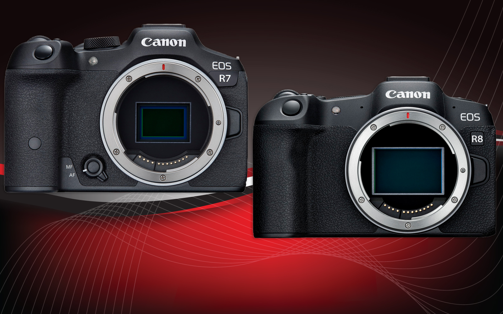www.canonrumors.com