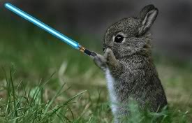 rabbit-jedi.jpg