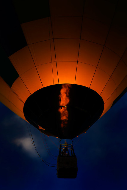 51047535262_8f821851dd_z.jpg