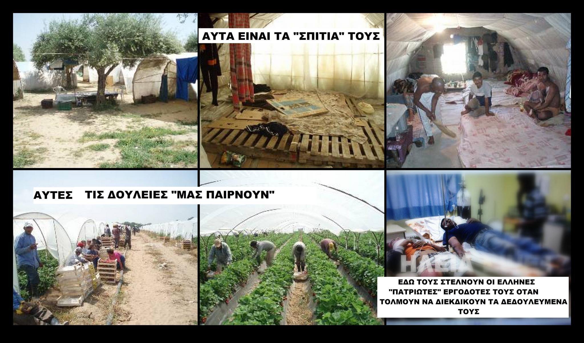 BIKQDacCAAAPrTv.jpg:large