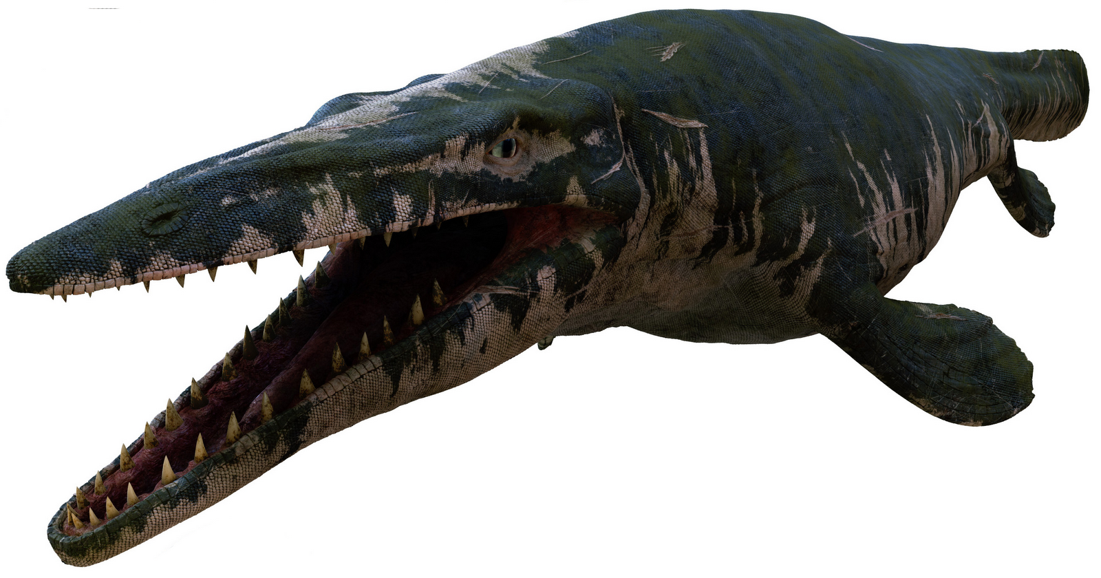 Tylossauro.png