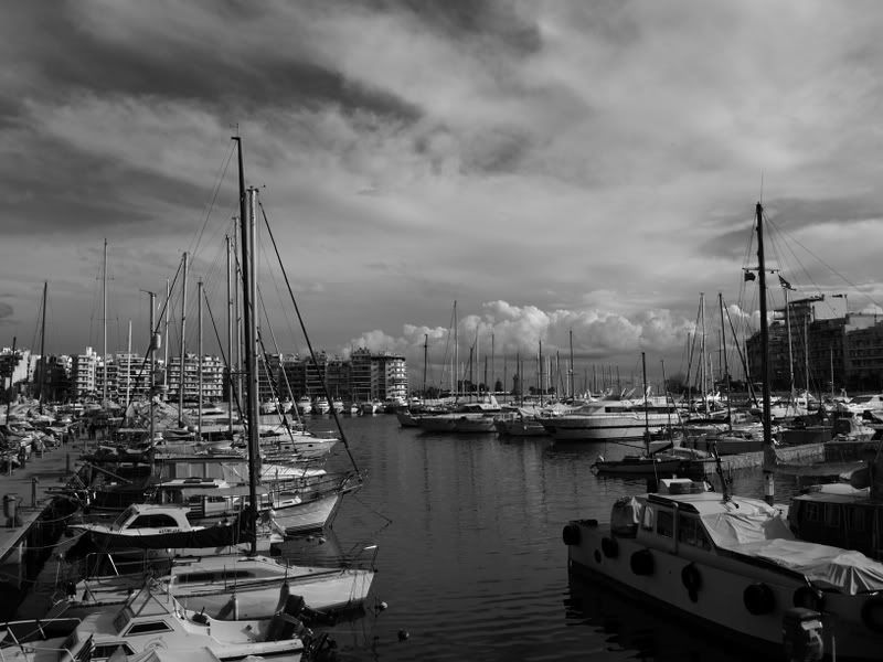 _2139561-1.jpg