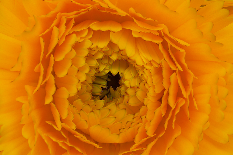 3376345015_a11056e49d_o.jpg