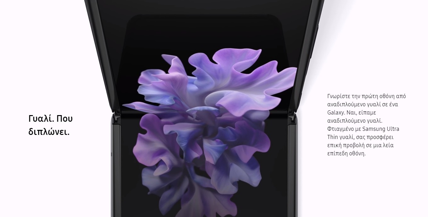 Z-Flip-6.jpg