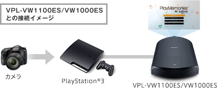 fig1.jpg