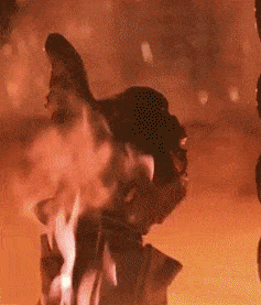 bba11212141686026876521676_700wa_0.gif