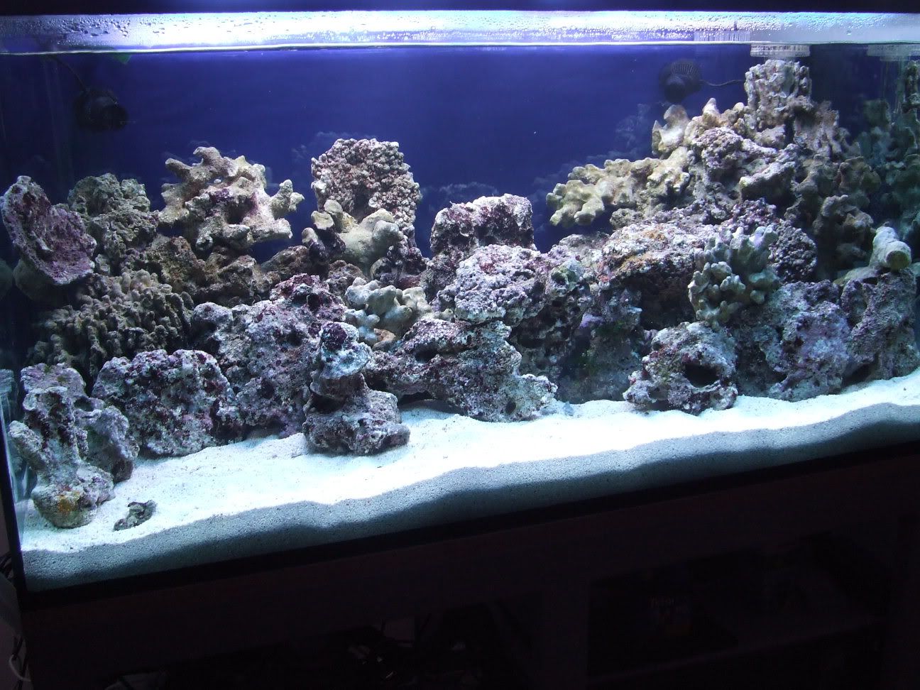 10-10-20082.jpg