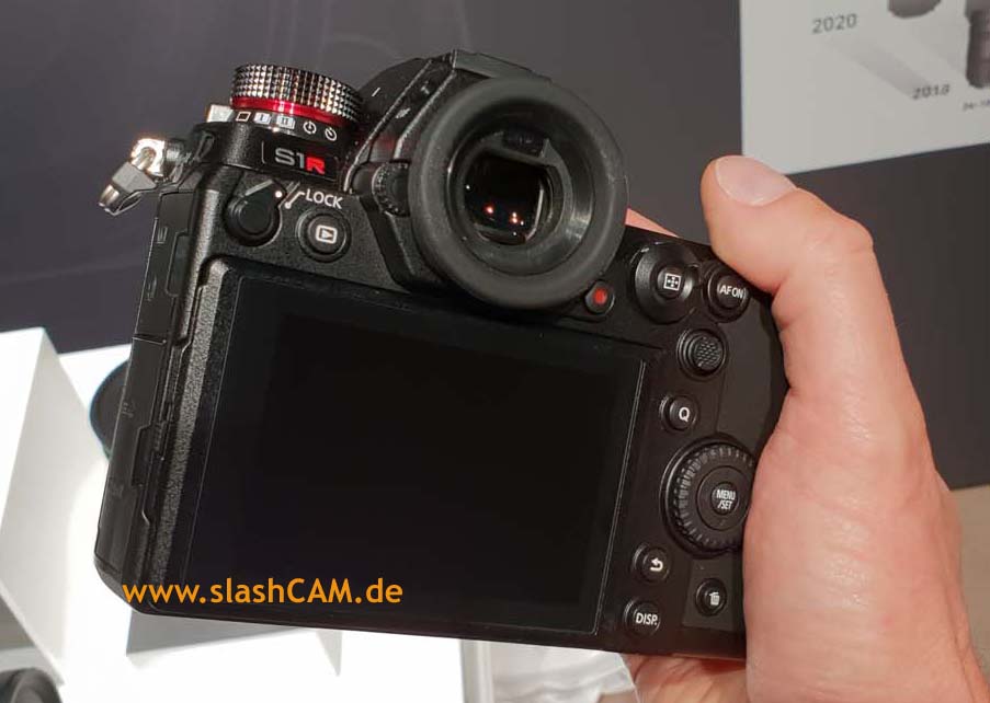 PanasonicS1R_hand_back2-14634_PIC2.jpg