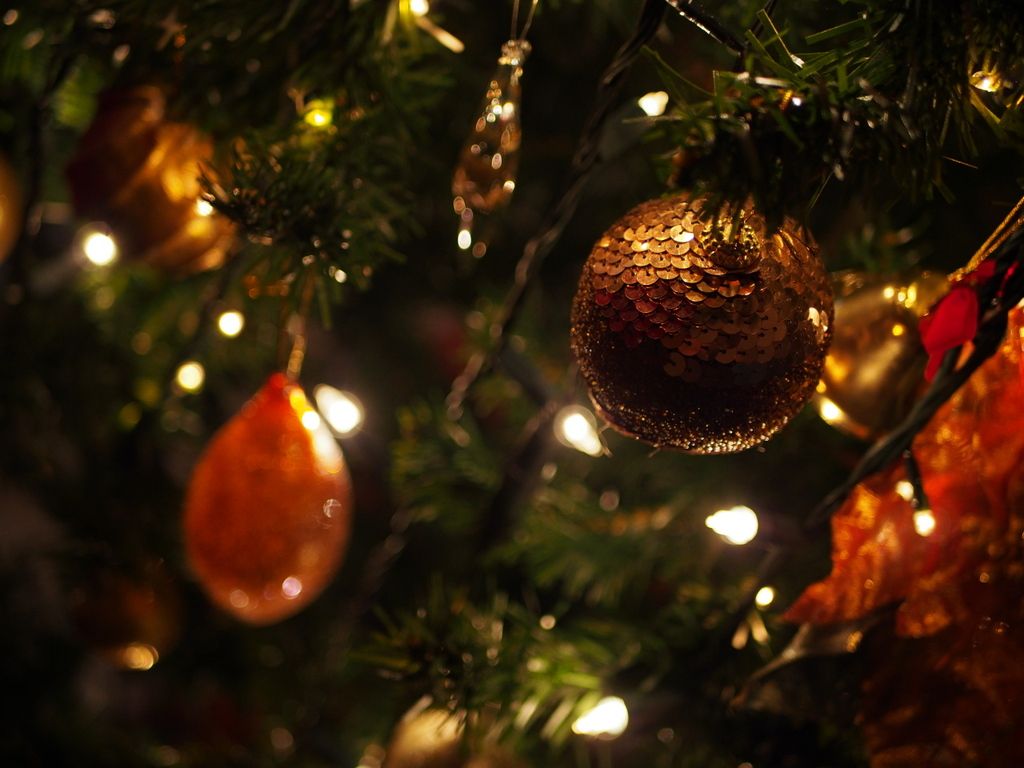 PC210284.jpg~original