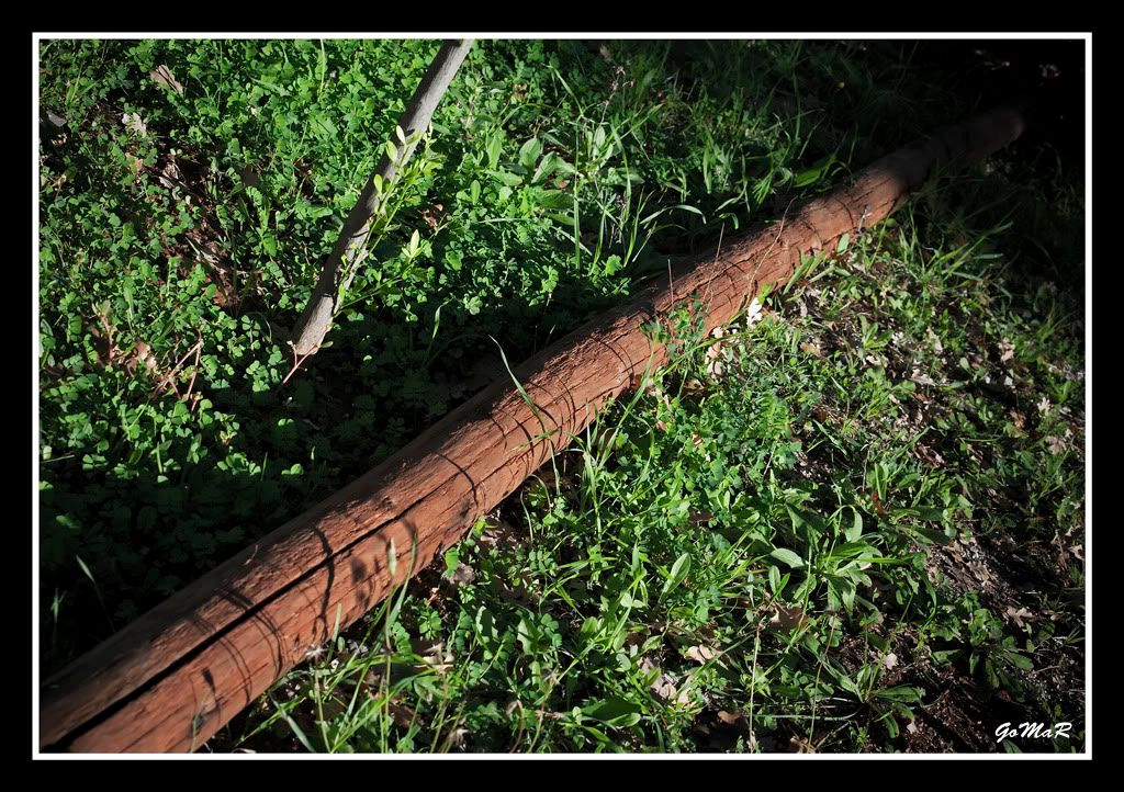 DSC_0198a.jpg