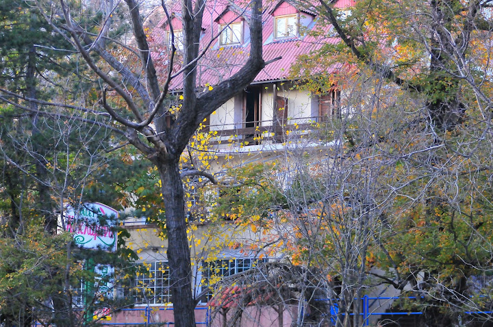 DSC_1640.JPG