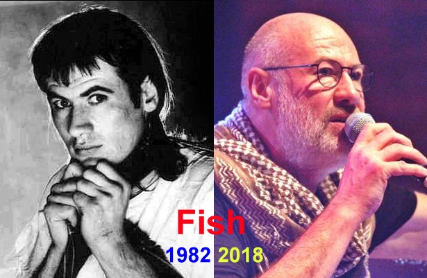 Fish.jpg
