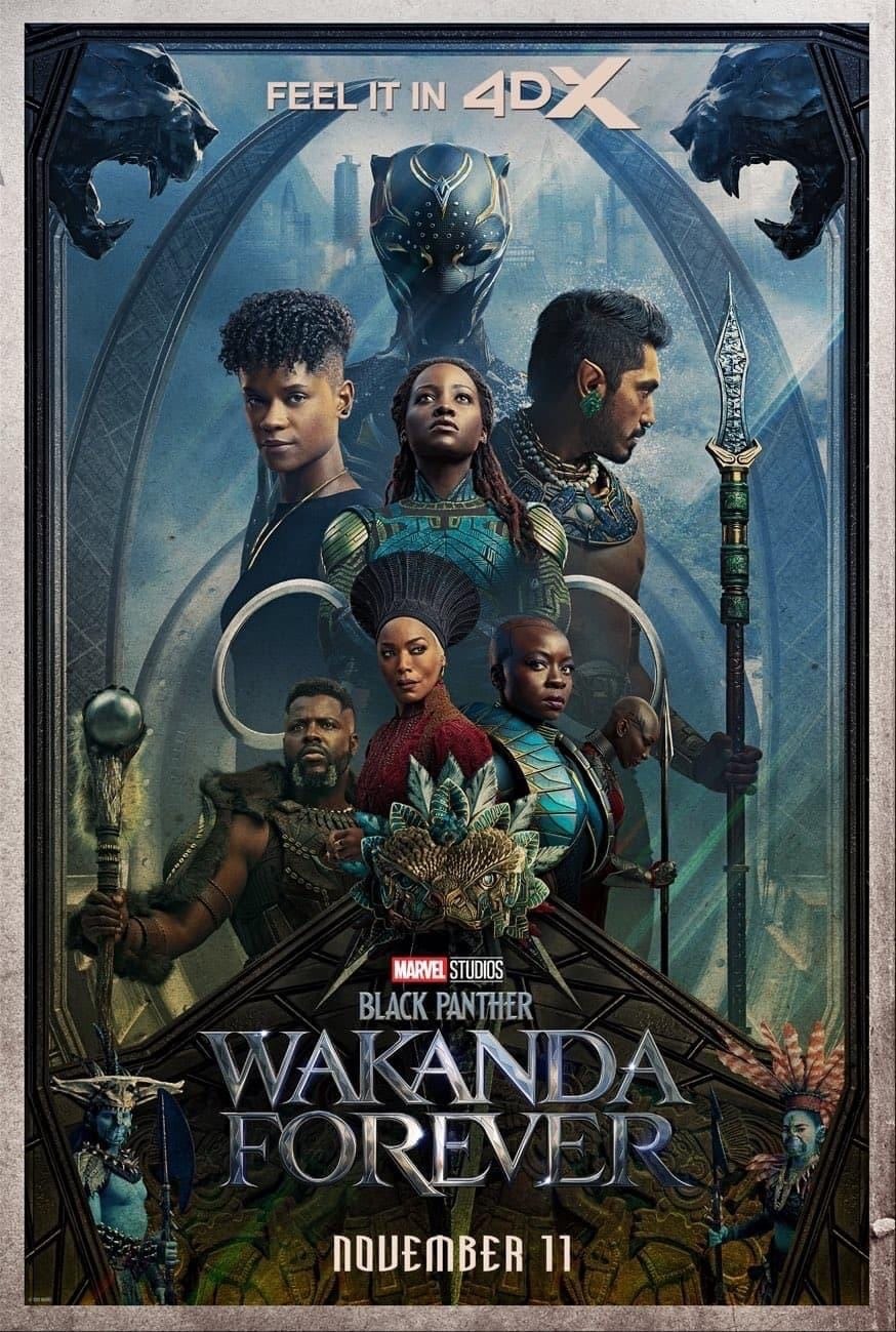 black-panther-wakanda-forever-ver5-xlg.jpg