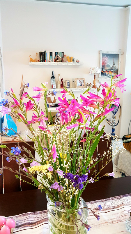 20190501-105226.jpg