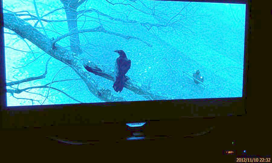 IMAG0160.jpg
