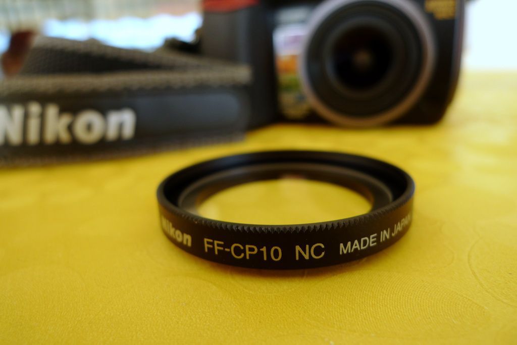 P1100776_zps6fc25a24.jpg