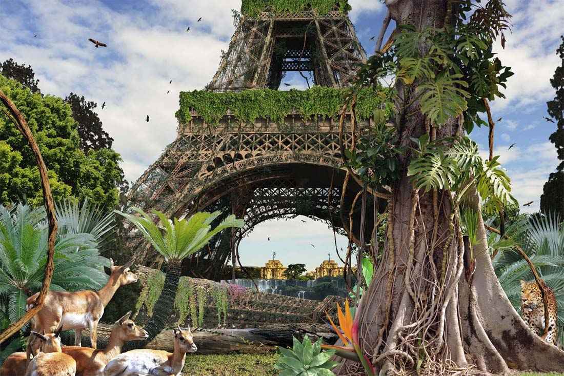 chris-morin_paris.jpg