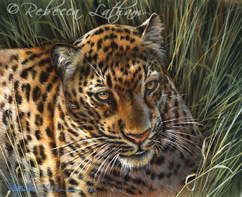 LeopardintheGrass-RL.jpg