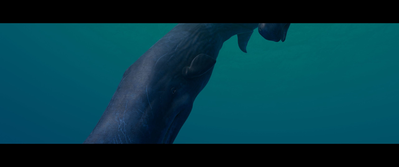 Beyond-Blue-Screenshot-2024-02-01-16-57-30-75.jpg