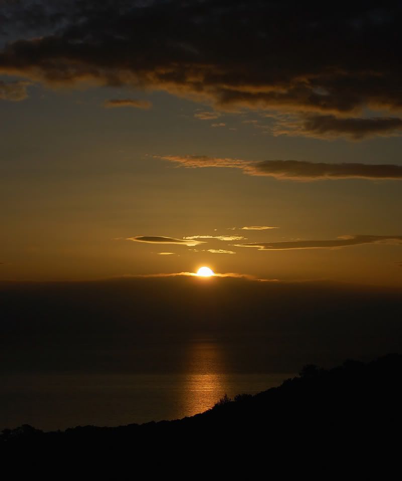 DSC_0100_1.jpg