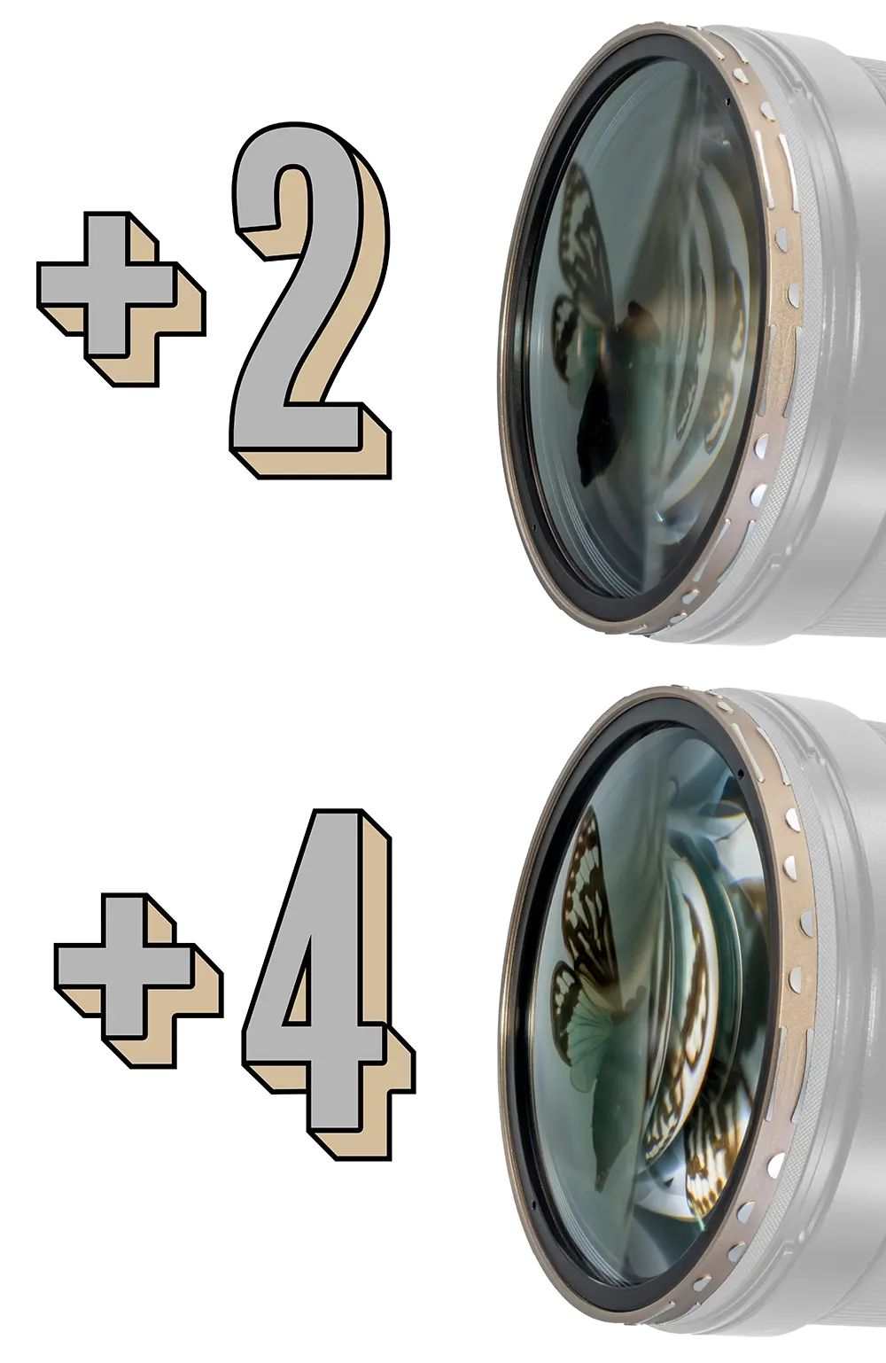 mavenfilters.com