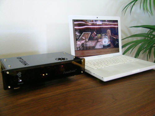 8%20Paradisea%20and%20MacBook.jpg
