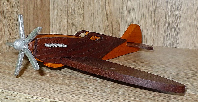 48819970808_af427a3351_z.jpg