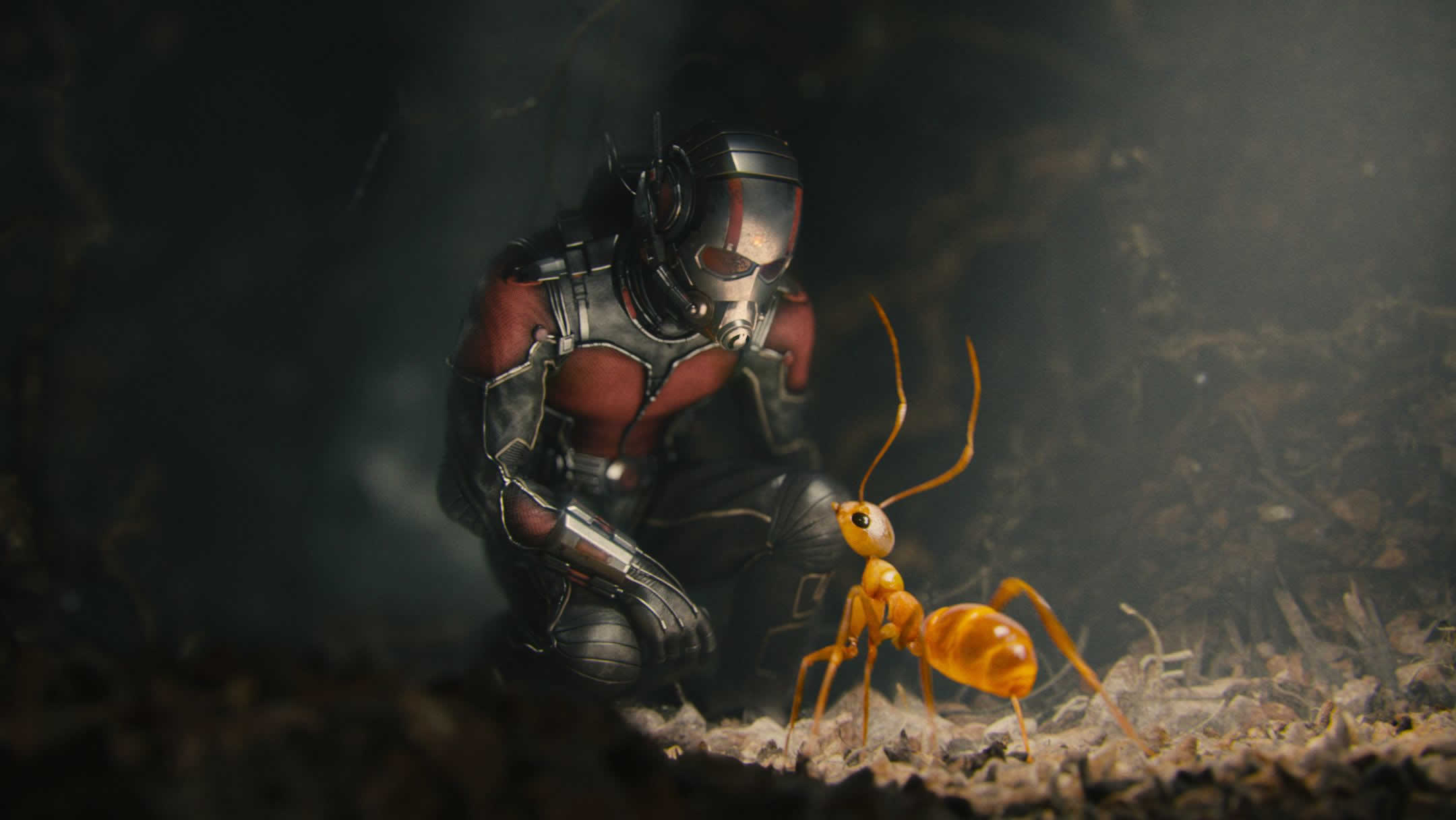 4_Ant-Man.jpg