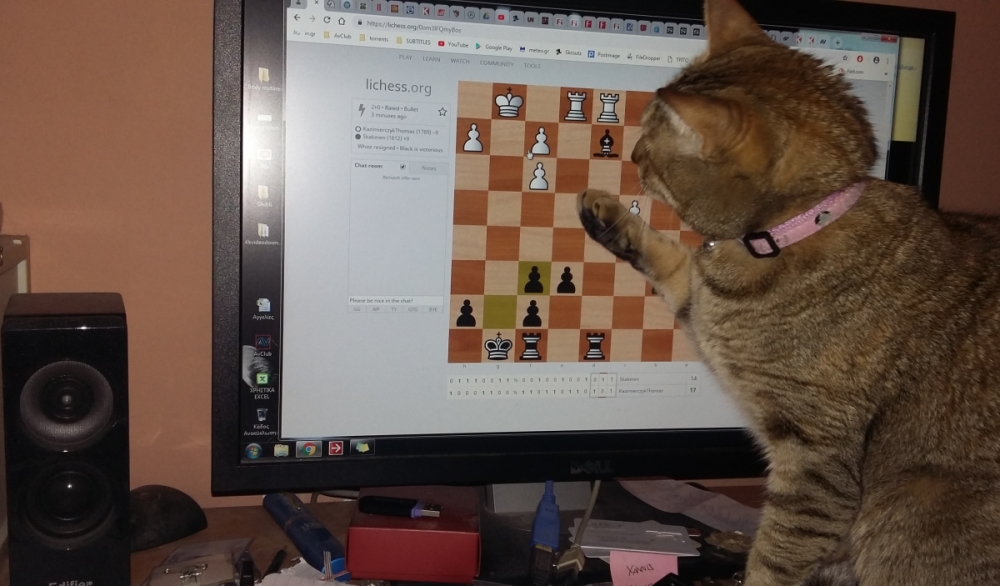 Minion-chess-c.jpg