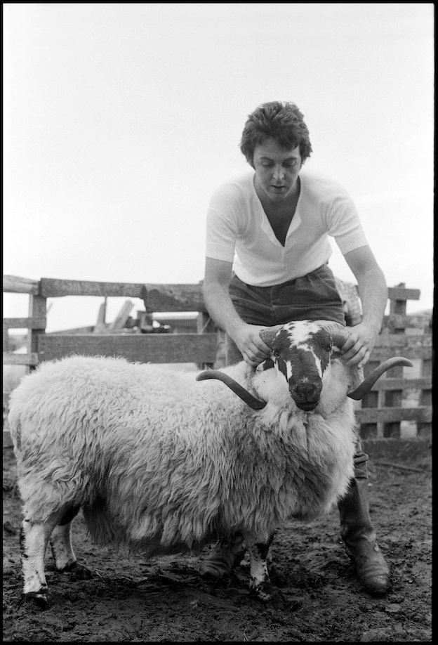 LindaMcCartney6242.jpg