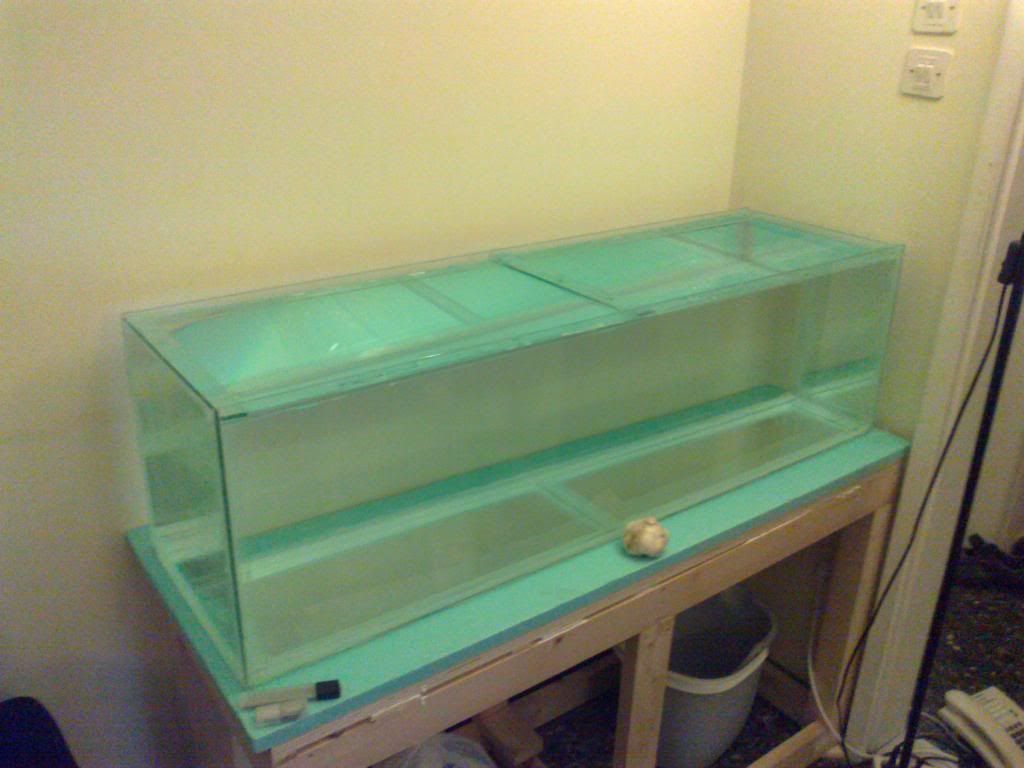 14112012124_zpsa6da8aec.jpg