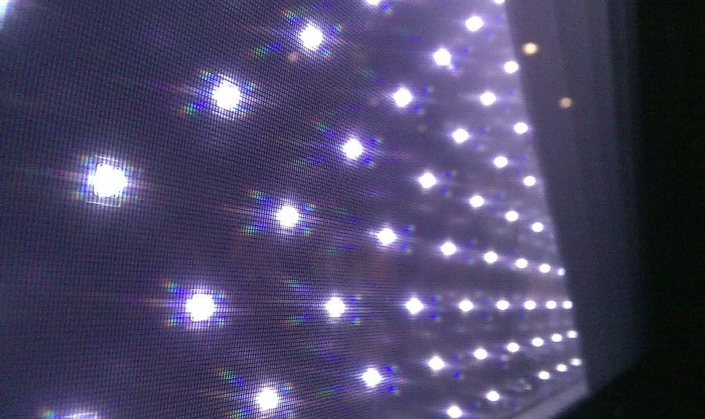 IMAG0055.jpg