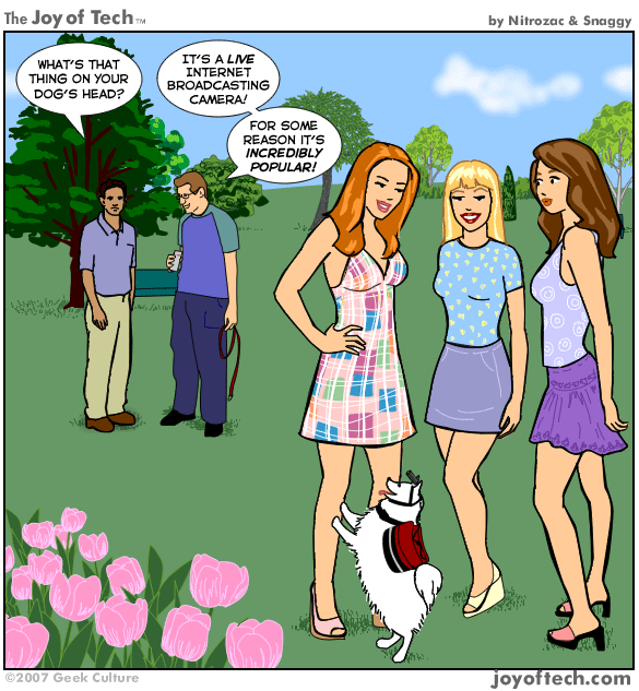 952.gif