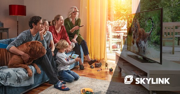 skylink-tv-domacnost.jpg