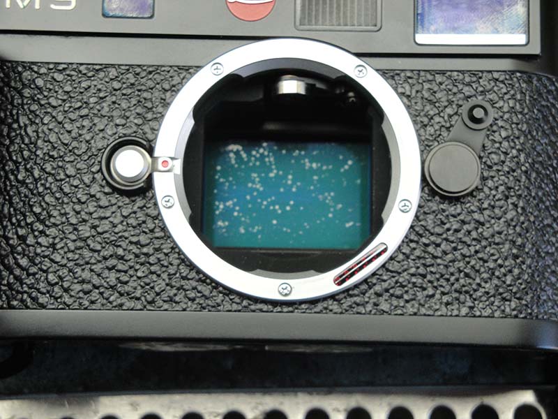 Leica-M9-Sensor.jpg