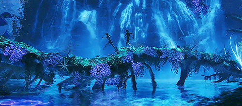 f93e7df0dabda7662e45d553ebb5a640.gif