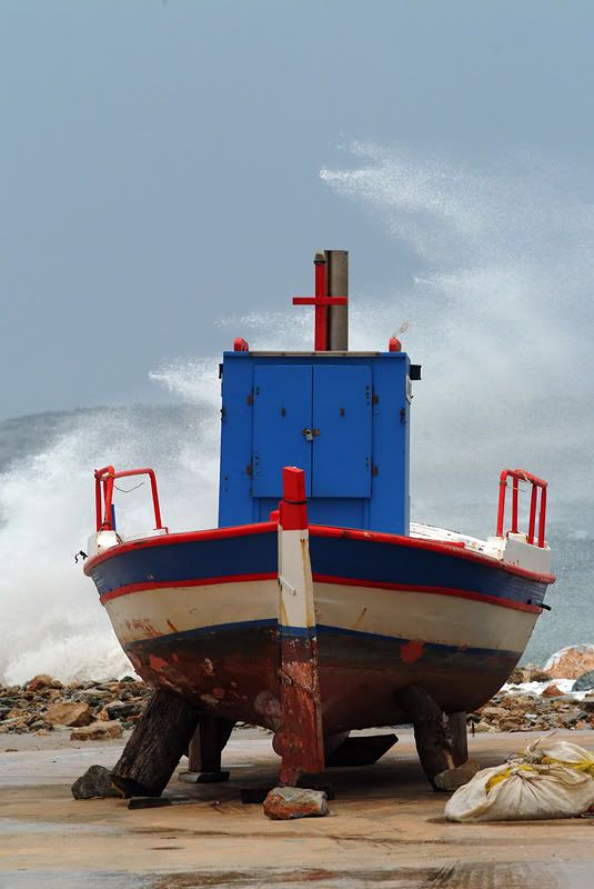 thyella3.jpg