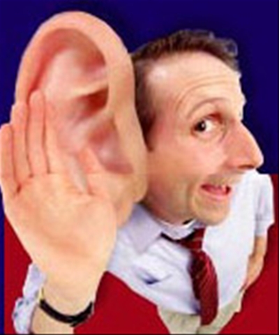 big-ear3.jpg