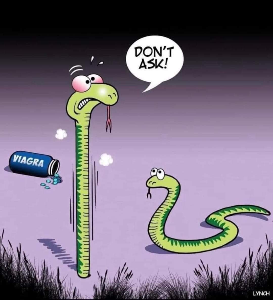 viagra.jpg
