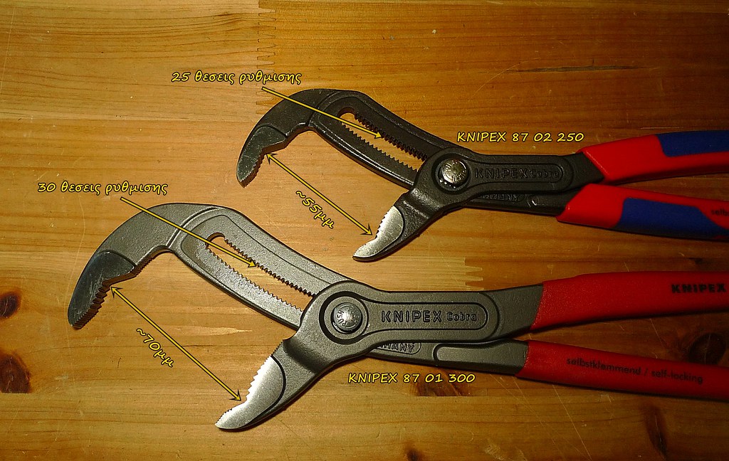 49880173626_87846b3b97_b.jpg