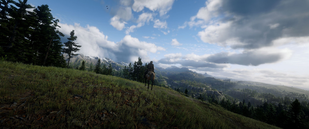 Red-Dead-Redemption-2-2022-01-31-21-23-1.jpg