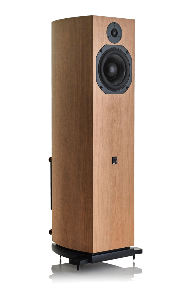scm19a1-650x1024.png