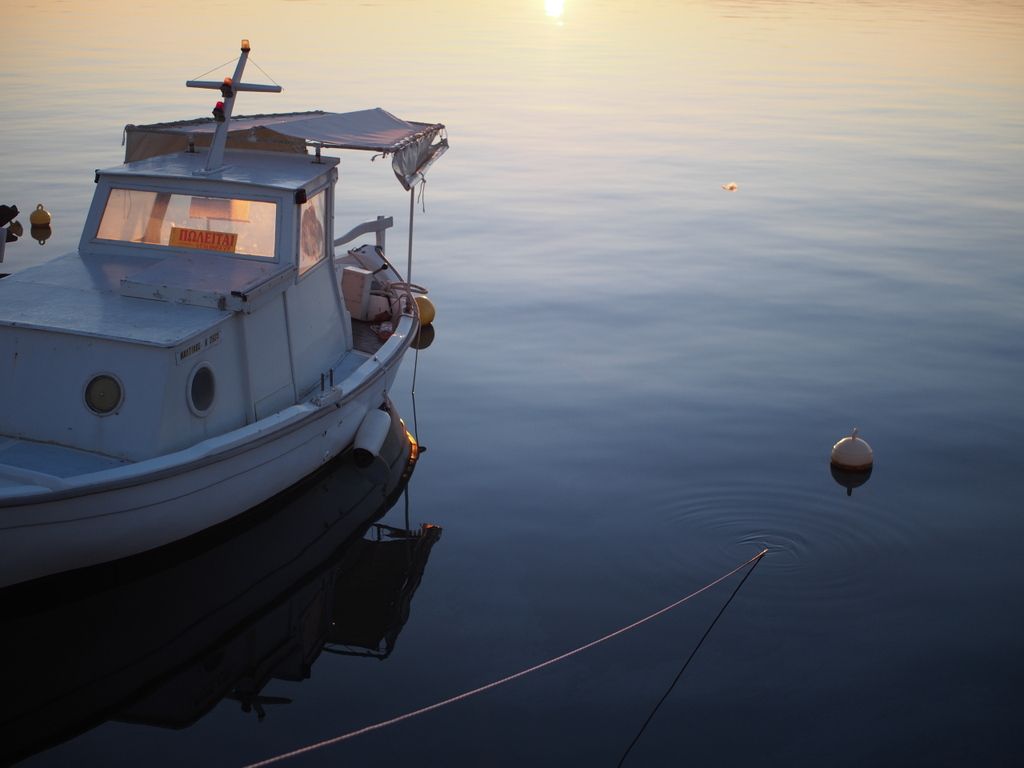 PC230446.jpg~original