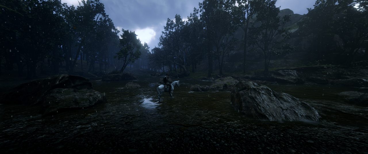 Red-Dead-Redemption-2-2022-12-31-01-19.png