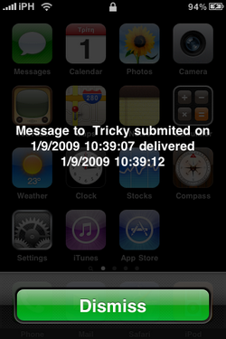 iphonedelivery_sms_report.png