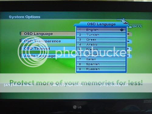 system20option.jpg